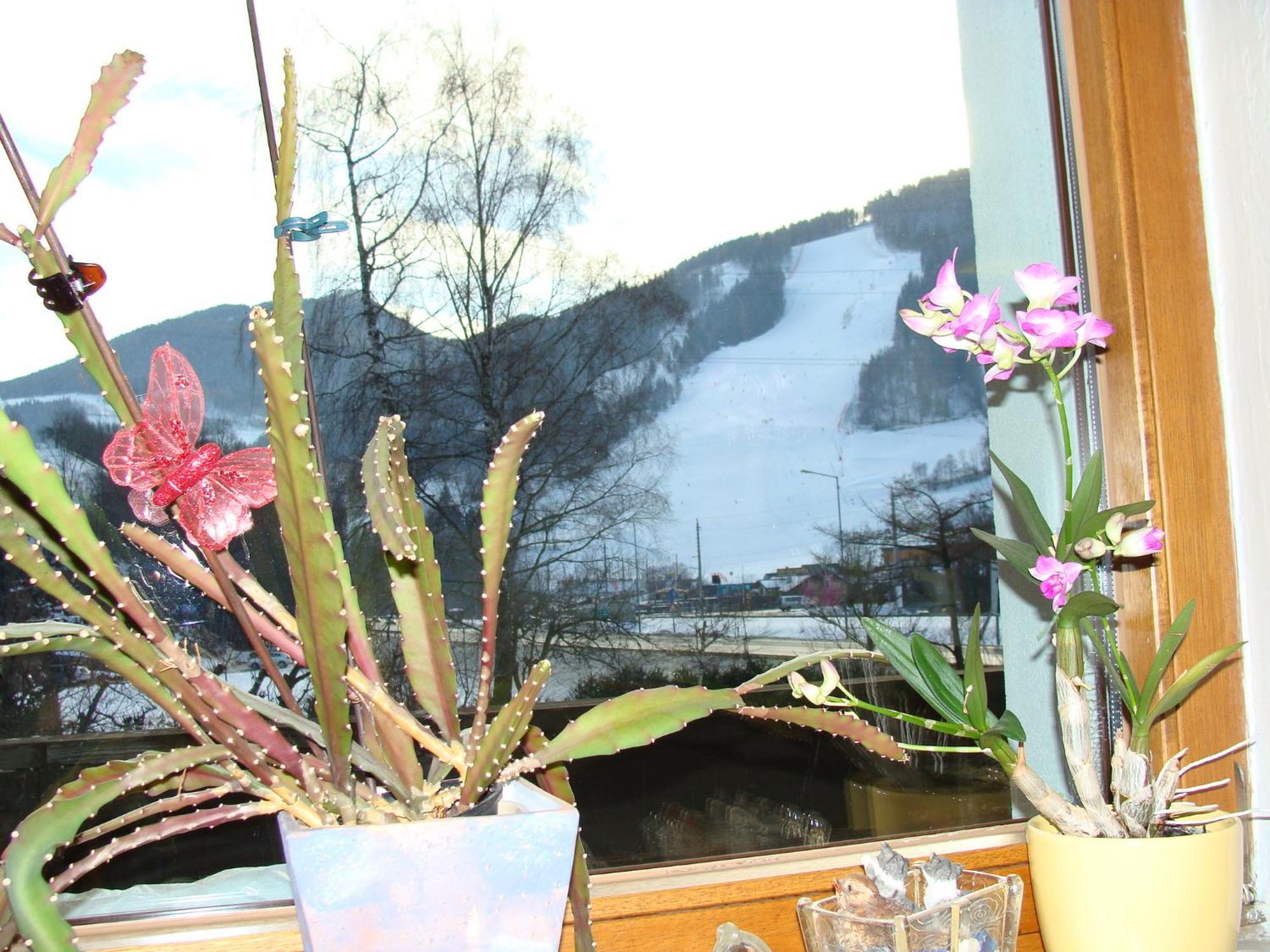 Appartement-Reiteralm Schladming Eksteriør bilde